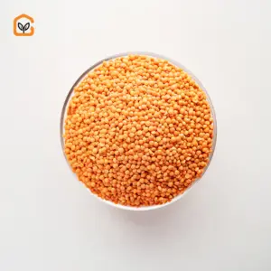 Masoor Dal 1 Kg